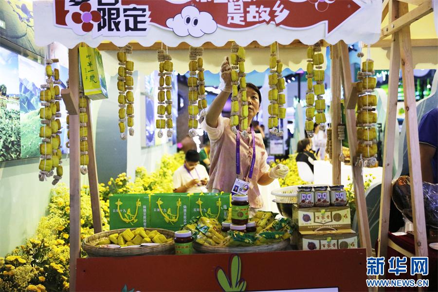 第9屆南博會｜解鎖“旅居云南”的N種“打開方式”(圖2)